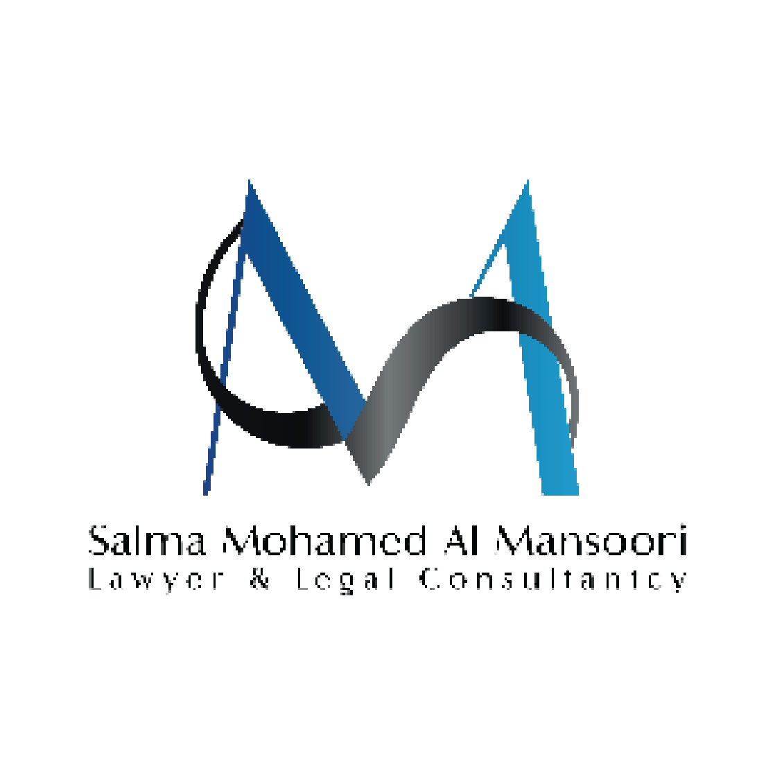 assets/img/fv-logo.png